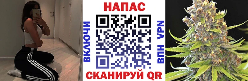 Что такое Сясьстрой Бошки Шишки  Альфа ПВП  Мефедрон  КОКАИН 