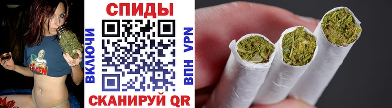 БУТИРАТ буратино Сясьстрой