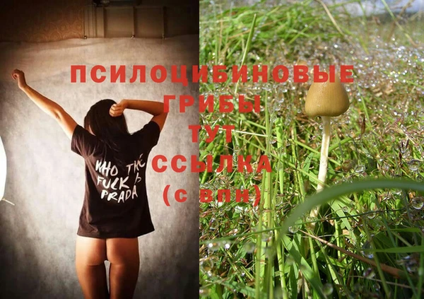 mdpv Аркадак
