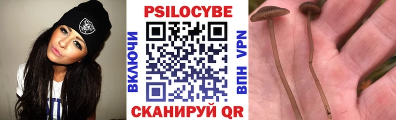 купить наркотики сайты  Сясьстрой  Галлюциногенные грибы Cubensis 